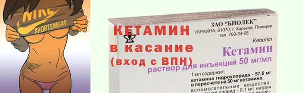 эйфоретик Гусь-Хрустальный