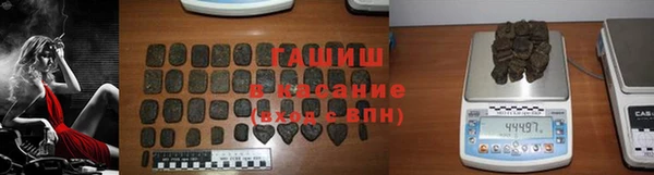 стаф Гусев