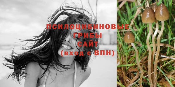 эйфоретик Гусь-Хрустальный