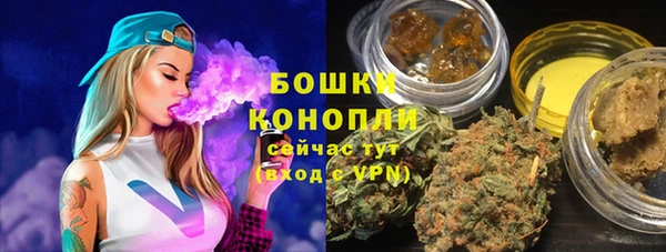 apvp Горнозаводск
