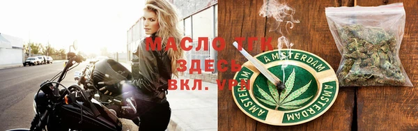 эйфоретик Гусь-Хрустальный